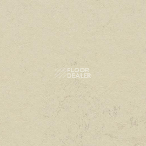 Линолеум Forbo Marmoleum Decibel on Order 370135 moon фото 1 | FLOORDEALER